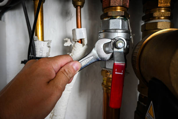 Best Local Plumber Services  in Arbuckle, CA